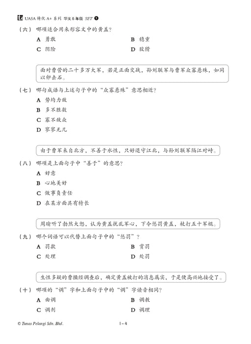 Skor A+ dalam UASA 2025 特优 A+ 系列 6 年级 华文