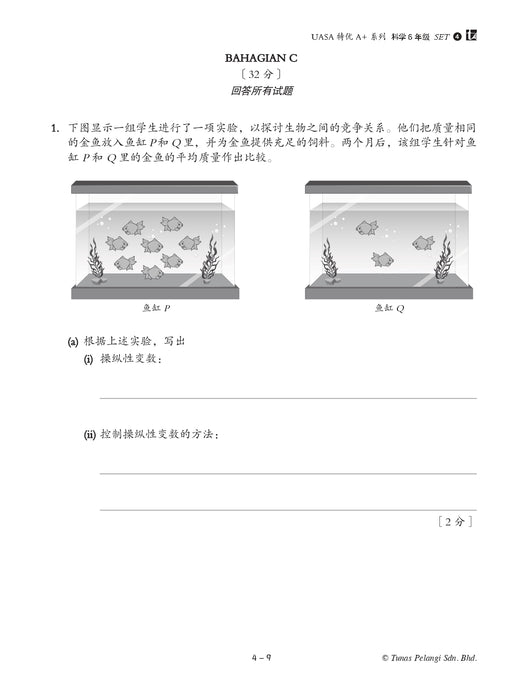 Skor A+ dalam UASA 2025 特优 A+ 系列 6 年级 科学 Sains