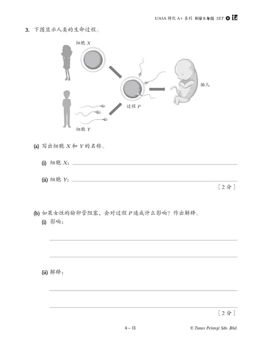 Skor A+ dalam UASA 2025 特优 A+ 系列 6 年级 科学 Sains