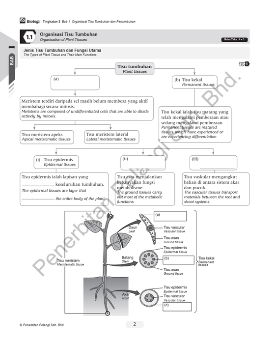 Module and More KSSM 2023 Biologi Tingkatan 5