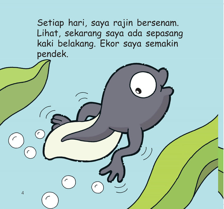 Helo Haiwan Kuak! Saya Seekor Katak