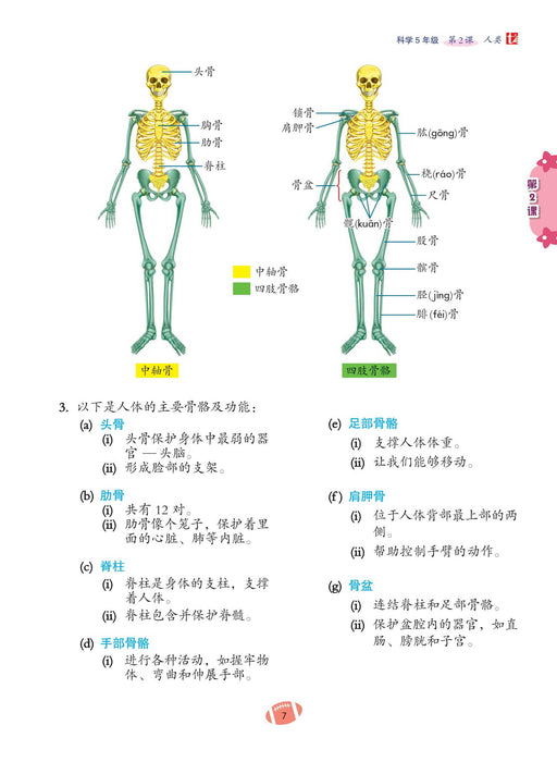 Get Ready 2023 Sains 五年级科学预习本