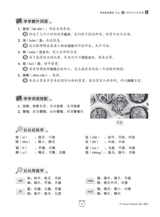 Buku Sumber 2022 Tahun 6A 华文参考资料 Bahasa Cina