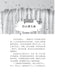樱花绽放时 Ying Hua Zhan Fan, 9789674892937, Pages 1, by Tunas Pelangi