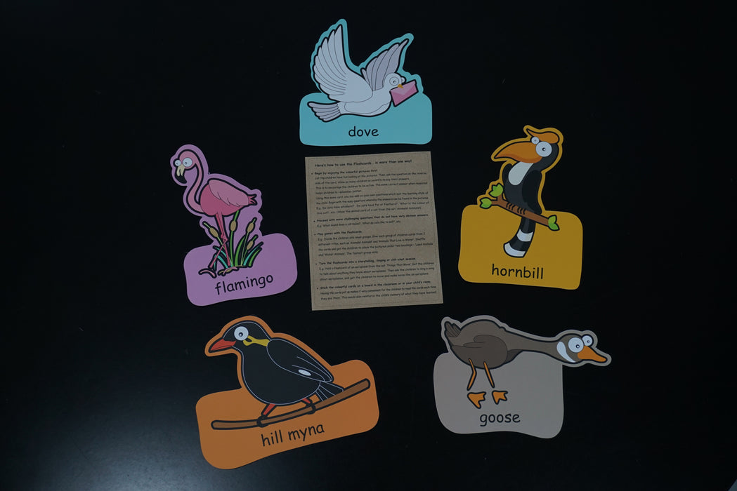 Flashcards with AR Birds