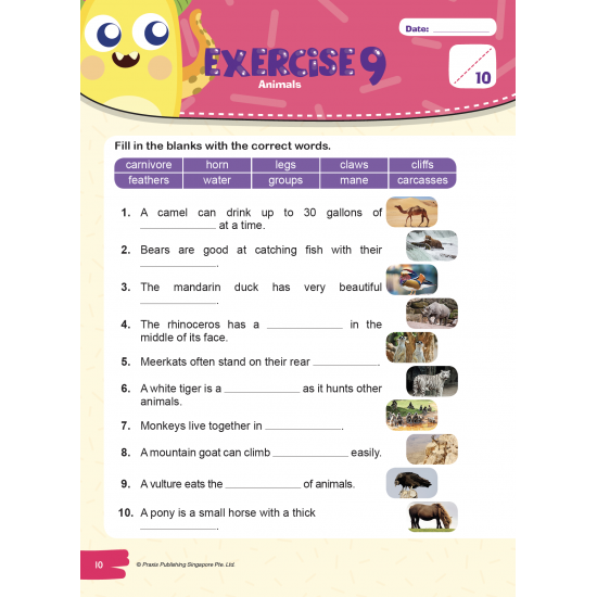 Basic Vocabulary Workbook Primary 2