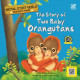 Animal Story World The Story of Two Baby Orangutans