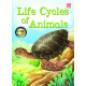 Creature Wonders Life Cycles of Animals
