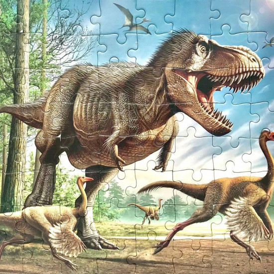 Dinosaur Puzzles Puzzle 3