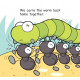 Hello Animals! The Hardworking Ants