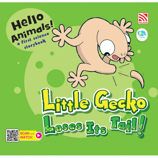Hello Animals! Little Gecko Loses Its Tail!