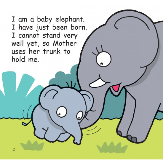 Hello Animals! The Happy Baby Elephant