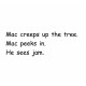 Mac the Rat Fun Phonics Readers Up a Tree
