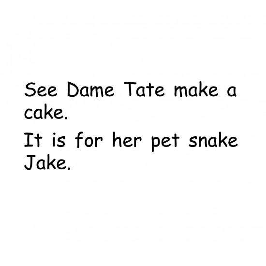 Mac the Rat Fun Phonics Readers Jake the Snake