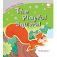 Silver Stars The Playful Squirrel